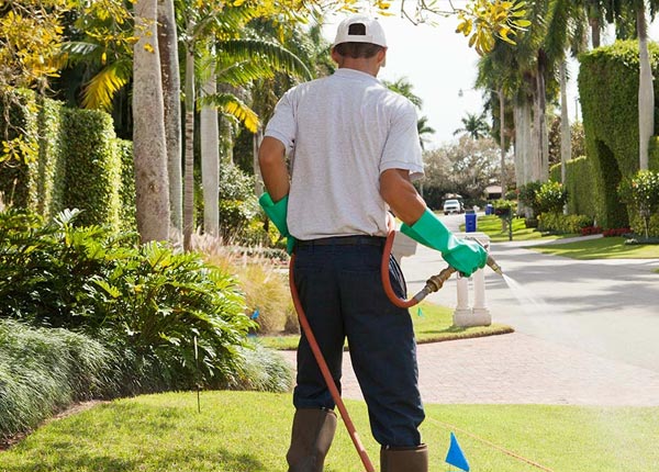 About West Middlesex PA Pest Control